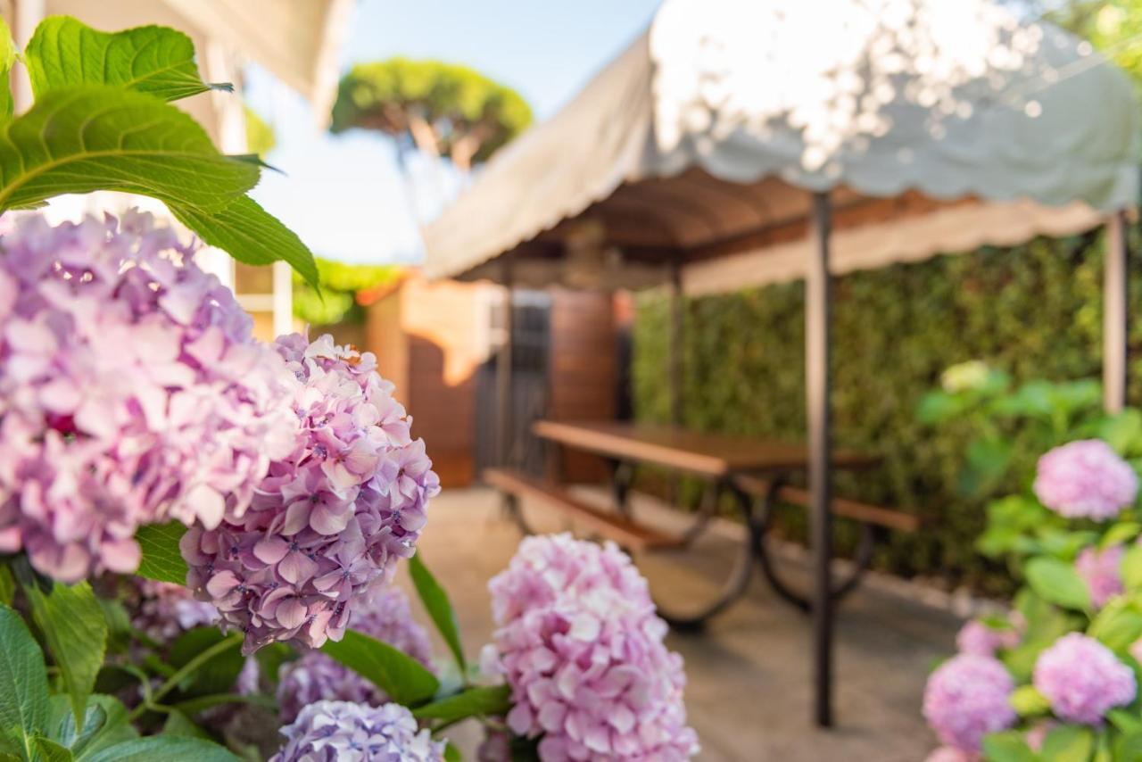 Apartment Holiday Versilia 카마이오레 외부 사진